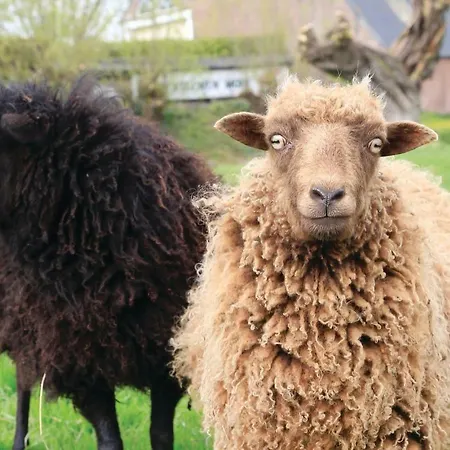 Het Kleinste 度假居