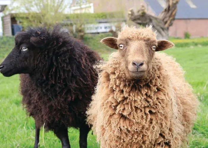 Het Kleinste Σπίτι διακοπών