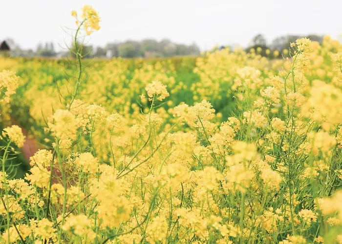 Σπίτι διακοπών Het Kleinste Maasdam